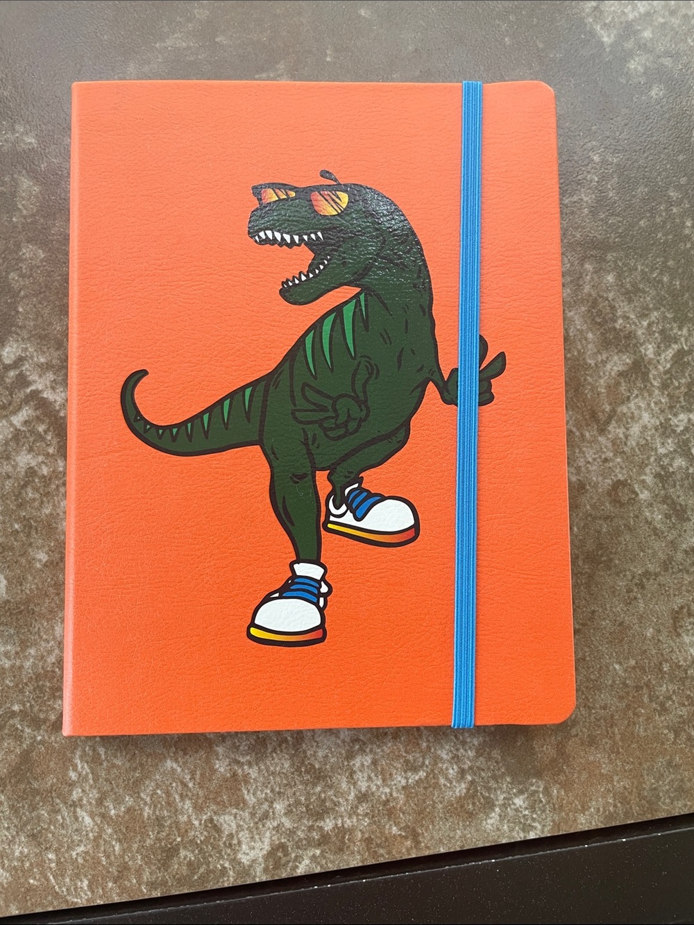 Pen+GEAR Orange Dinosaur Hardcover Journal with Blue Elastic